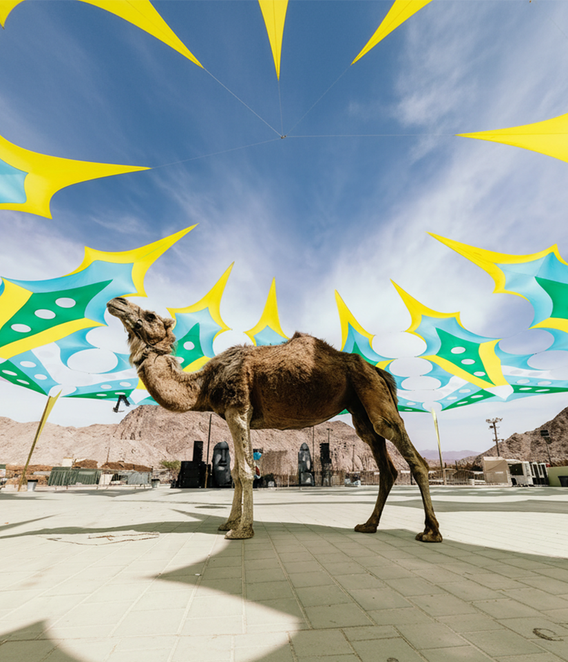 הראל- נופש משפחות באילת